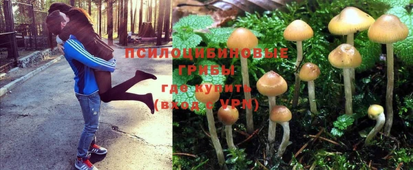 твердый Балахна