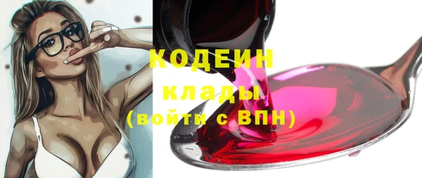 стаф Баксан