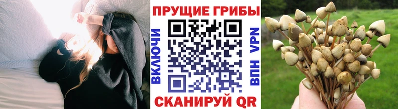 Псилоцибиновые грибы Magic Shrooms  где купить наркоту  Заозёрск 